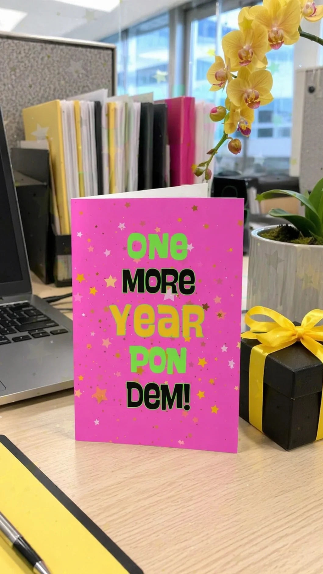 Pink, One more year pon dem